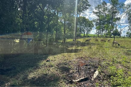 VENDO ESTANCIA CON ANIMALES Y MAQUINAS EN TAVAPY
