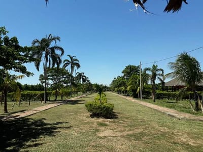 ¡Quinta súper completa en venta!