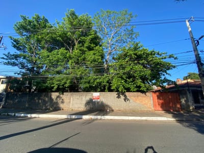 Vendo Terreno En Lambare