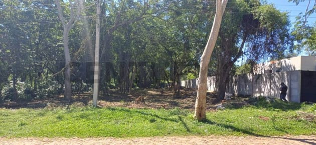 VENDO TERRENO DE 1.156 m2 EN SAN BERNARDINO