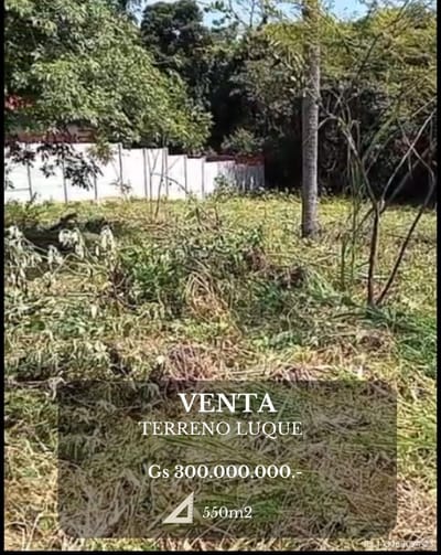 EN VENTA – TERRENO EN LUQUE    Barrio La Carreta – Calle empedrada Los Jardines