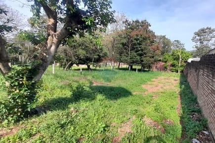 TERRENO EN VILLE ELISA VENTA