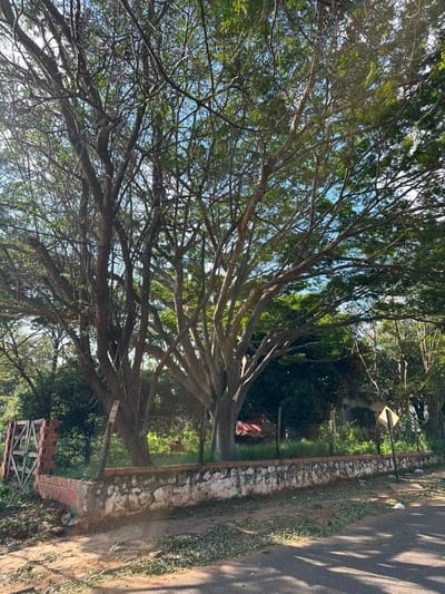 Terreno 630 M² Esquina Sobre Américo Picco, V. Elisa