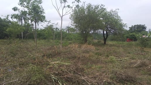 Terrenos en María Auxiliadora, Altos, Cordillera