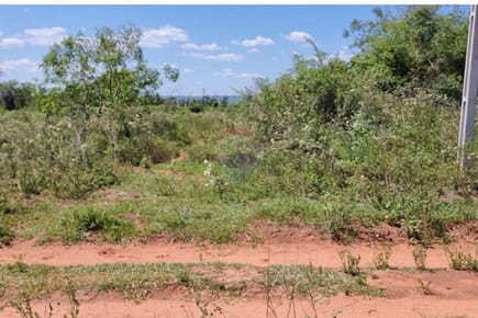 VENDO ESPECTACUAR TERRENO ENORME EN LUQUE 