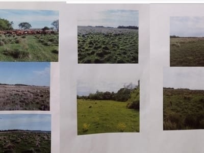 GANADERA EN VENTA TACUARAS ÑEEMBUCÚ