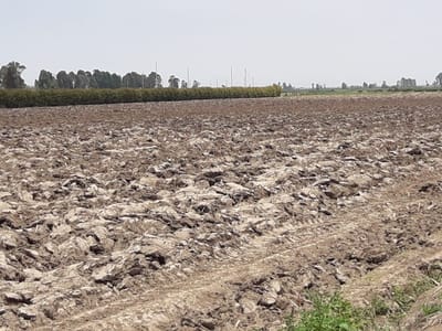 VENDO TERRENO 3 HECTAREAS SAN VICENTE DE CAÑETE