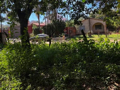VENDO TERRENO EN ISLA BOGADO