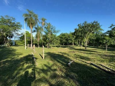 TERRENOS EN SAN BERNARDINO - Ciervo Kua, SE VENDEN CADA UNO