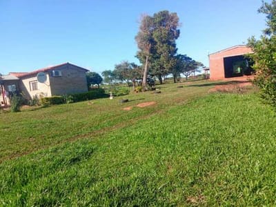 EN VENTA HERMOSA PROPIEDAD RURAL DE 50 HECTÁREAS SOBRE RUTA 3 CANINDEYÚ