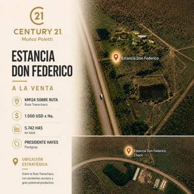 Estancia ganadera en venta sobre ruta – infraestructura y capacidad productiva