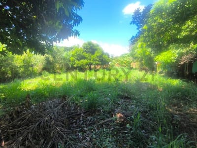 EXCELENTE OPORTUNIDAD!! 2 TERRENOS POR 150.000.000 EN ITAUGUA