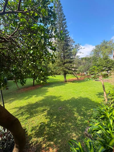 En Venta Penthouse De 3 Habitaciones En Barrio Bernardino Caballero