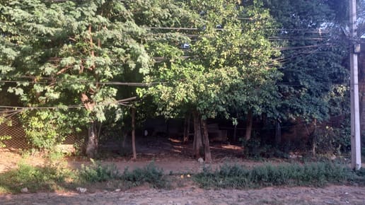 oferta terreno 275.000.000Lambare luis Maria de argaña 