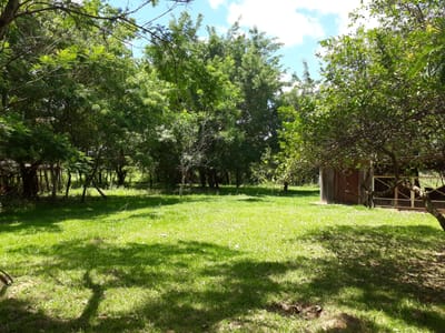 VENDO   Propiedad Rural  Arroyos y Esteros  Isla Guazu