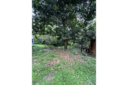 Terreno - Venta - Mariano Roque Alonso, Central, Paraguay
