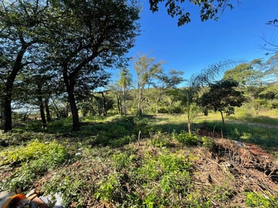 SAN BERNARDINO, ZONA CENTRO, EN VENTA 3 TERRENOS JUNTOS 