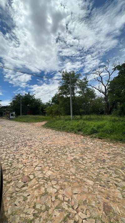 Zona Universidad Catolica 