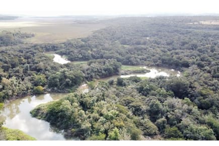 Estancia/Campo-Curuguaty, Canindeyú