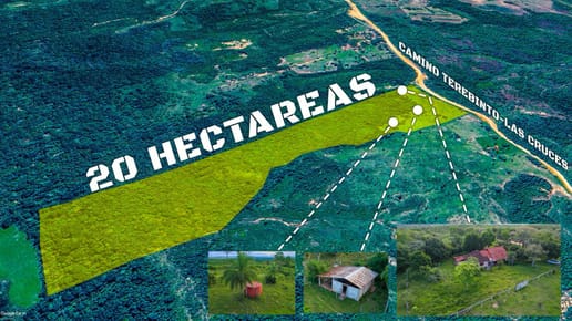 Venta Propiedad Las Cruces 20 Hectareas