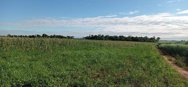 CAAGUAZU - YHU, EN VENTA GRANJA, DE 10 HECTÁREAS