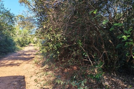 Terreno - Venta - Caacupé, Cordillera, Paraguay