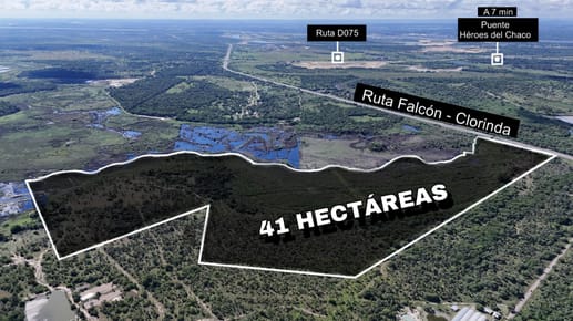 Vendo 41 hectáreas en Nueva Asuncion