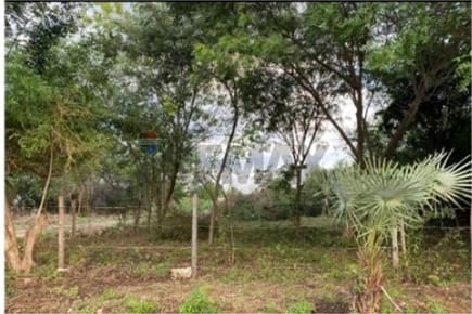 TERRENO - VENTA - LIMPIO - CANTRAL - PARAGUAY