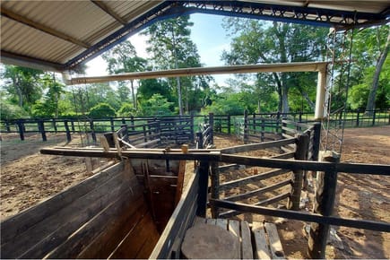 Vendo Estancia con mejoras para uso Ganadero