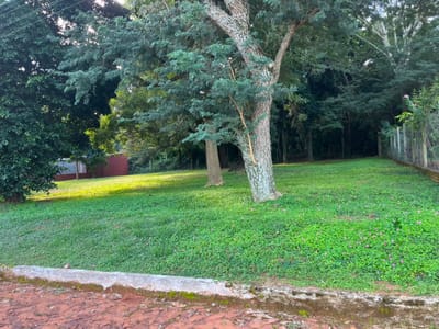 EN VENTA 2 TERRENOS EN PILAR DEL ESTE YPANE