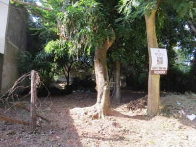 Terreno en Barrio Cerrado La Floresta – Oportunidad única en Luque