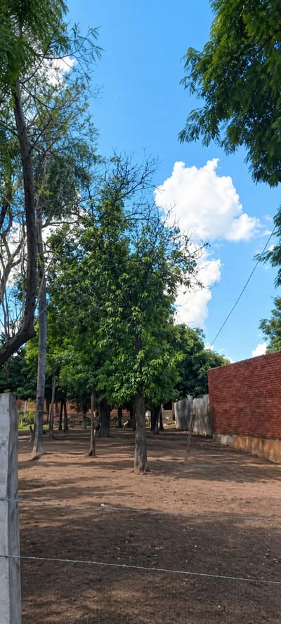 En Venta Terreno San Antonio