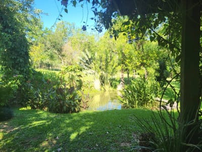 En Venta – 2 Hectáreas En Maramburé, Luque