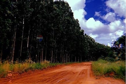 Estancia/Campo-Venta-PY San Pedro Choré