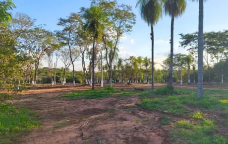VENDO TERRENO EN LA CIUDAD DE LUQUE ZONA ITAPUAMI