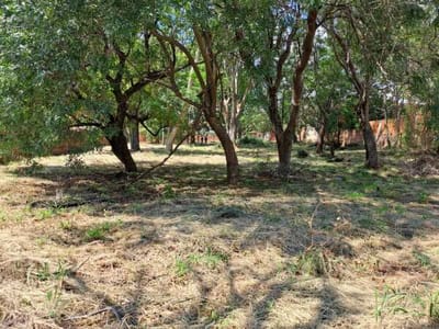 ATENCIÓN INVERSIONISTAS Y DESARROLLADORES - 3.900 M2