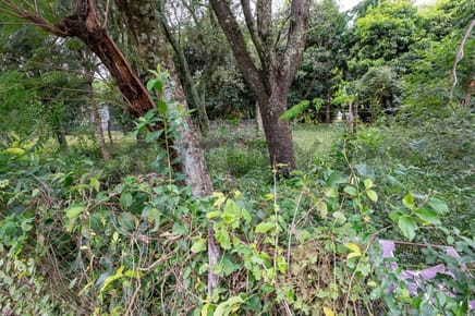 Vendo terreno en Altos sobre ruta San Bernardino - Altos - Lote №.4