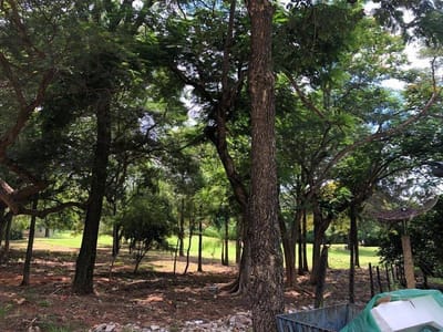 Terreno en el Yacht, pegado a la cancha de golf