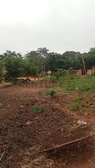 TERRENO EN LUQUE MORAS CUE CON DOCUMENTOS A TRANSFERIR