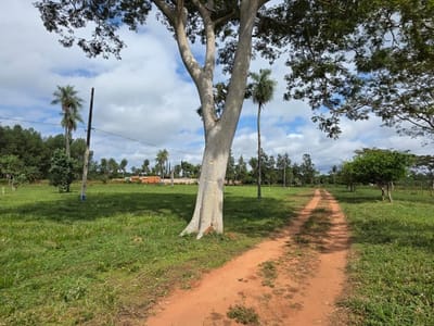 VENDO TERRENOS EN J. AUGUSTO SALDIVAR