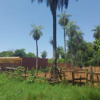 VENDO TERRENO EN ITAPUAMI - LUQUE