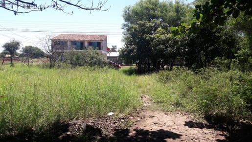  2 Terrenos Santa Lucia, Limpio