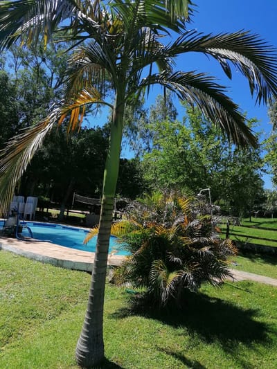 **EN VENTA — EXCLUSIVA PROPIEDAD TURÍSTICA EN CAACUPÉ - QUINTA DON PABLO**