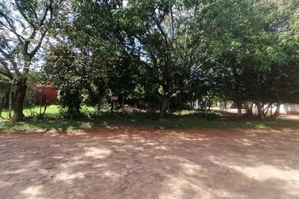 Vendo Terreno En Luque, Laurelty