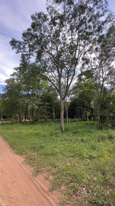 Terreno en esquina  898 M2 San Bernardino 