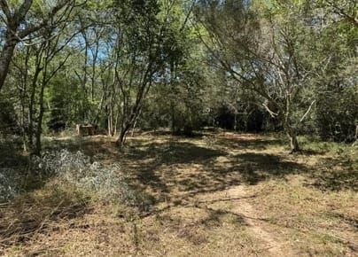 Vendo Terrenos En Loma Grande