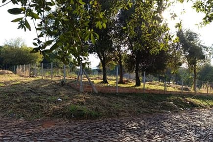 VENDO TERRENO EN ALTO PARANA
