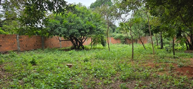 Luque, Zárate Isla, En Venta, Terreno De 360 M2.