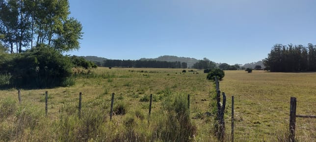 Venta fracción de campo en zona La Pataia