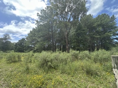Venta chacra en zona La Paita. Punta Ballena